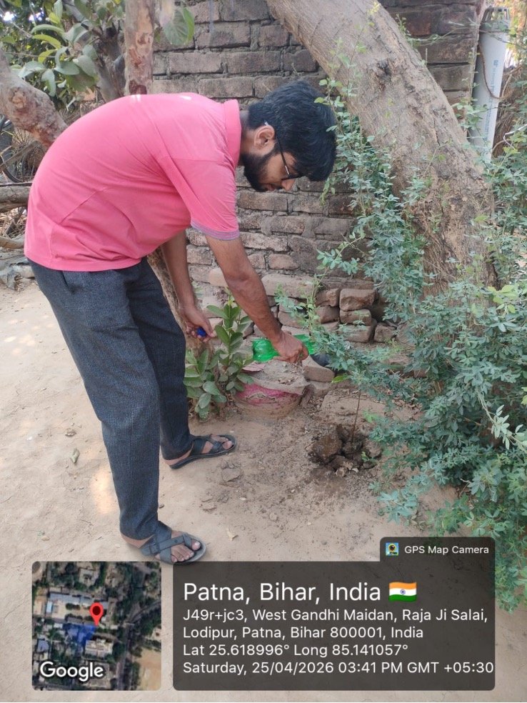 Plantation Drive image 1
