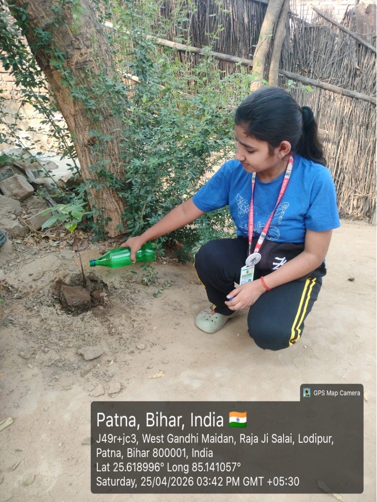 Plantation Drive image 2